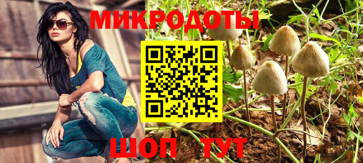 Галлюциногенные грибы GOLDEN TEACHER Новороссийск